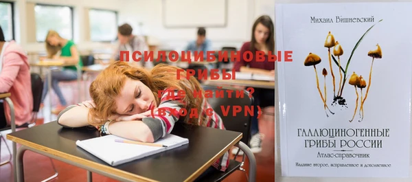 герыч Фурманов