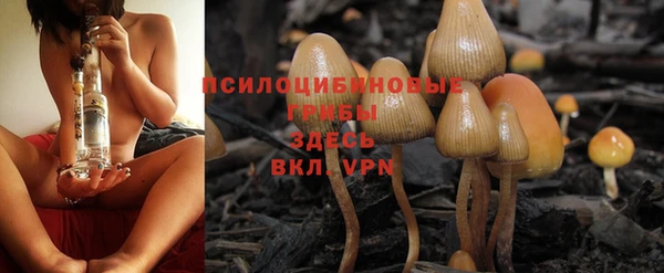 кокаин премиум Чекалин