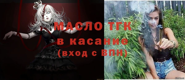 сатива Надым